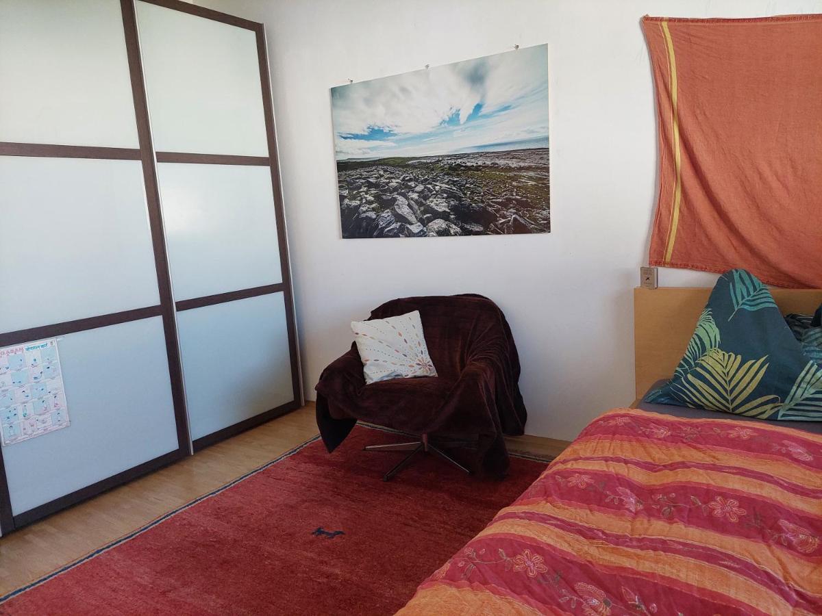 Gemutliche Und Helle Wohnung - Nahe Schlossberg Graz Dış mekan fotoğraf